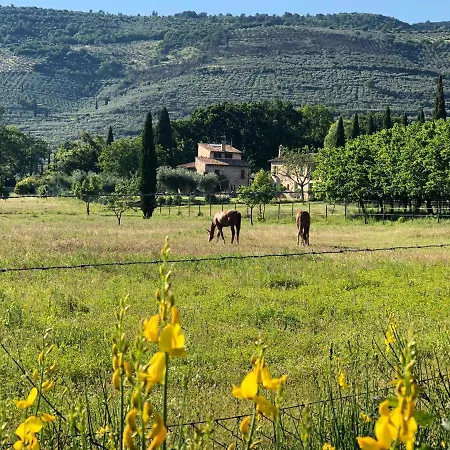 Arcadia Casa de Férias *