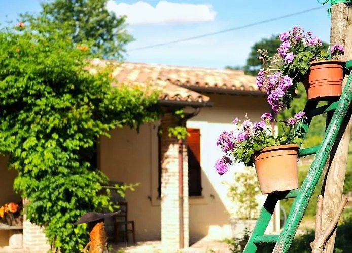 Casa de Férias Arcadia *