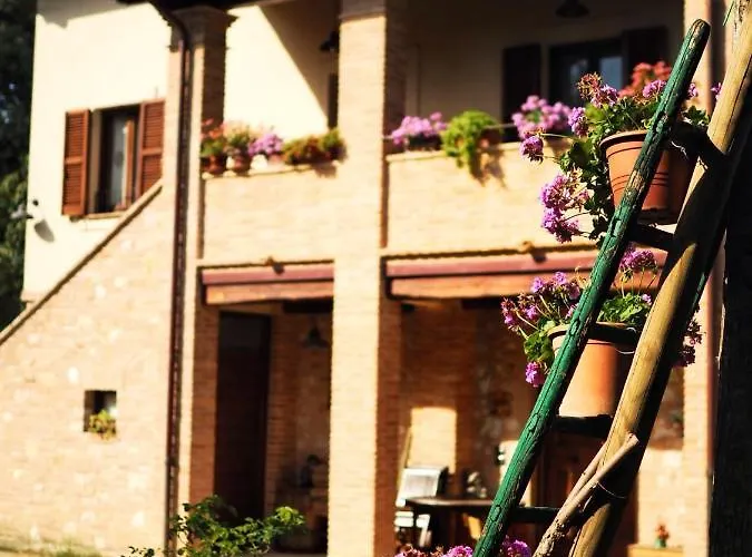 Casa de Férias Arcadia