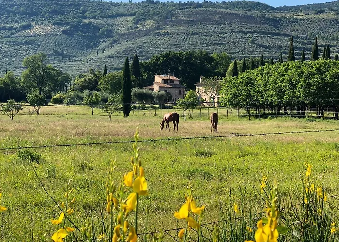 Arcadia Casa de Férias *